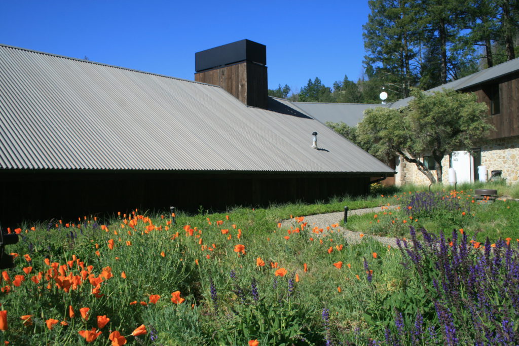 Mayacamas Winery